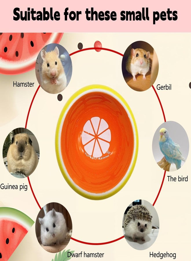 هامليدي وعاء هامستر هاميليدي، وعاء سيراميك لإطعام الحيوانات الأليفة بالماء والطعام، مناسب لخنزير غينيا والجرذ والفأر والشنشيلة والقنفذ والسنجاب الطائر (قطعتان) - Image 5